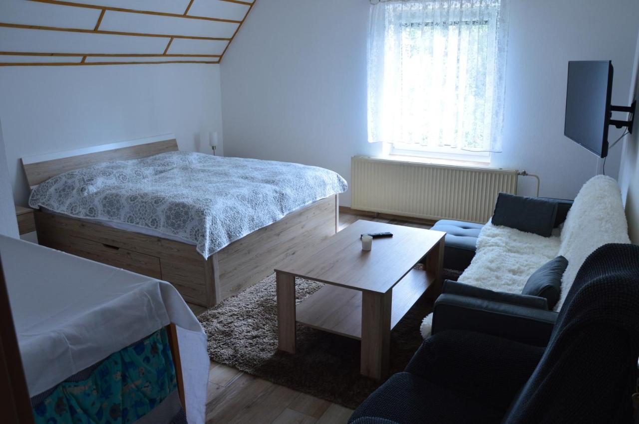 Horský apartmán Pod Zelenou Střechou Bartosovice v Orlickych Horach Exterior foto