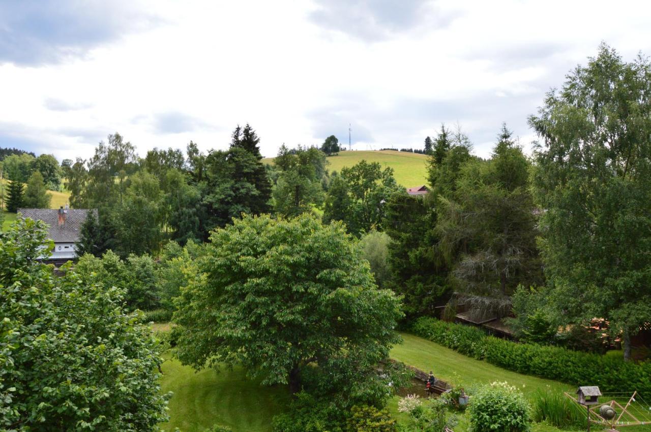 Horský apartmán Pod Zelenou Střechou Bartosovice v Orlickych Horach Exterior foto