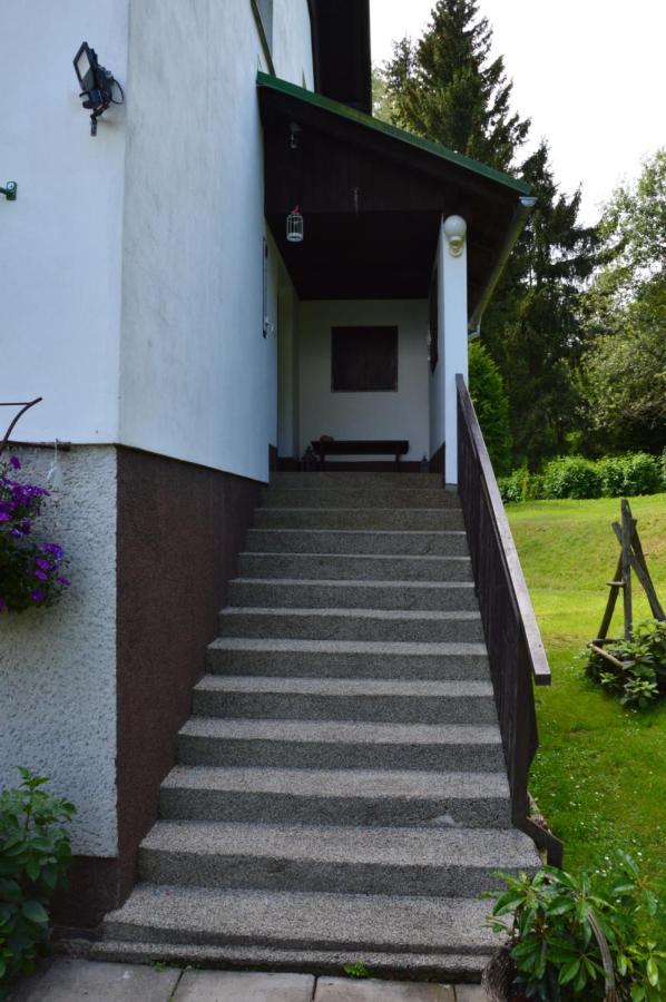 Horský apartmán Pod Zelenou Střechou Bartosovice v Orlickych Horach Exterior foto