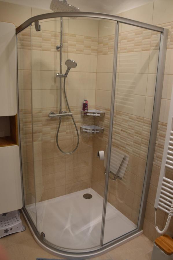 Horský apartmán Pod Zelenou Střechou Bartosovice v Orlickych Horach Exterior foto