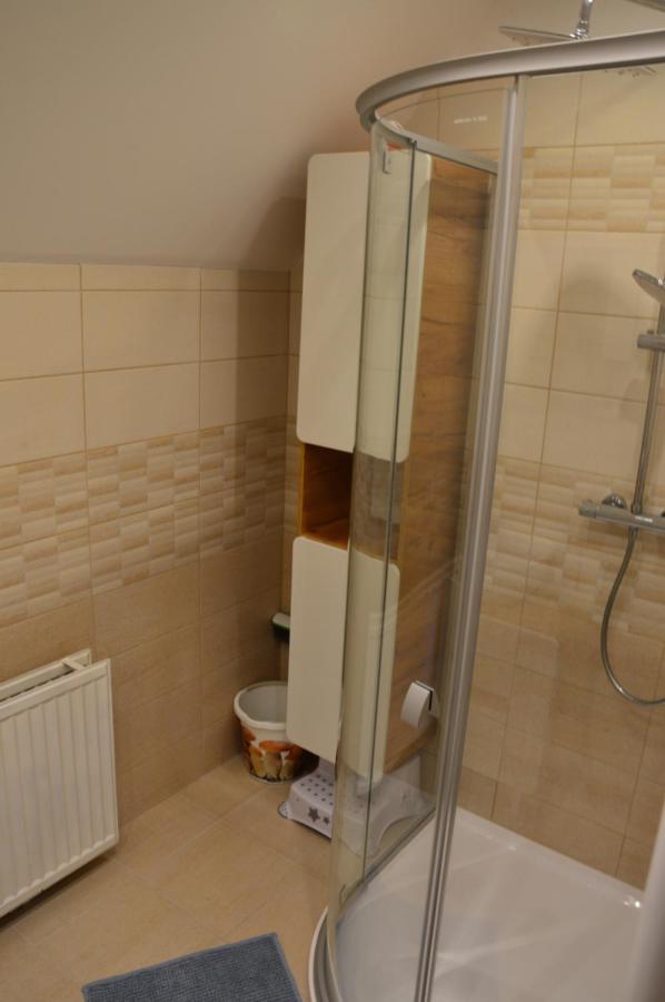 Horský apartmán Pod Zelenou Střechou Bartosovice v Orlickych Horach Exterior foto